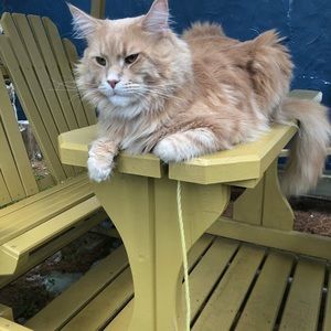 Meet your Posher, Emilie